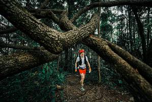 BIB: 
                            <button type="button" onclick="openModal(25665305)" class="btn btn-primary btn-sm float-right btn-popup" data-toggle="modal" data-target=".modal-high-quality">
                        <i class="fas fa-shopping-cart"></i> Add to Cart
                    </button>
                                            <button type="button" onclick="isThisMe(25665305, true)" class="btn btn-success btn-sm float-right btn-popup btn-isme hidden" data-toggle="tooltip" data-placement="bottom" title="นี่คือรูปของคุณใช่ไหม คลิกที่นี่เพื่อเอาเข้าอัลบั้ม">
                        <i class="fas fa-plus"></i> Add to album
                    </button>
                    <button type="button" onclick="isThisMe(25665305, false)" class="btn btn-warning btn-sm float-right btn-popup btn-isnotme hidden">
                        <i class="fas fa-ban"></i> Remove from album
                    </button>